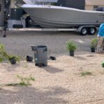 Plantings